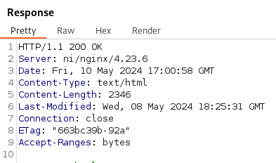 nginx_version_burp