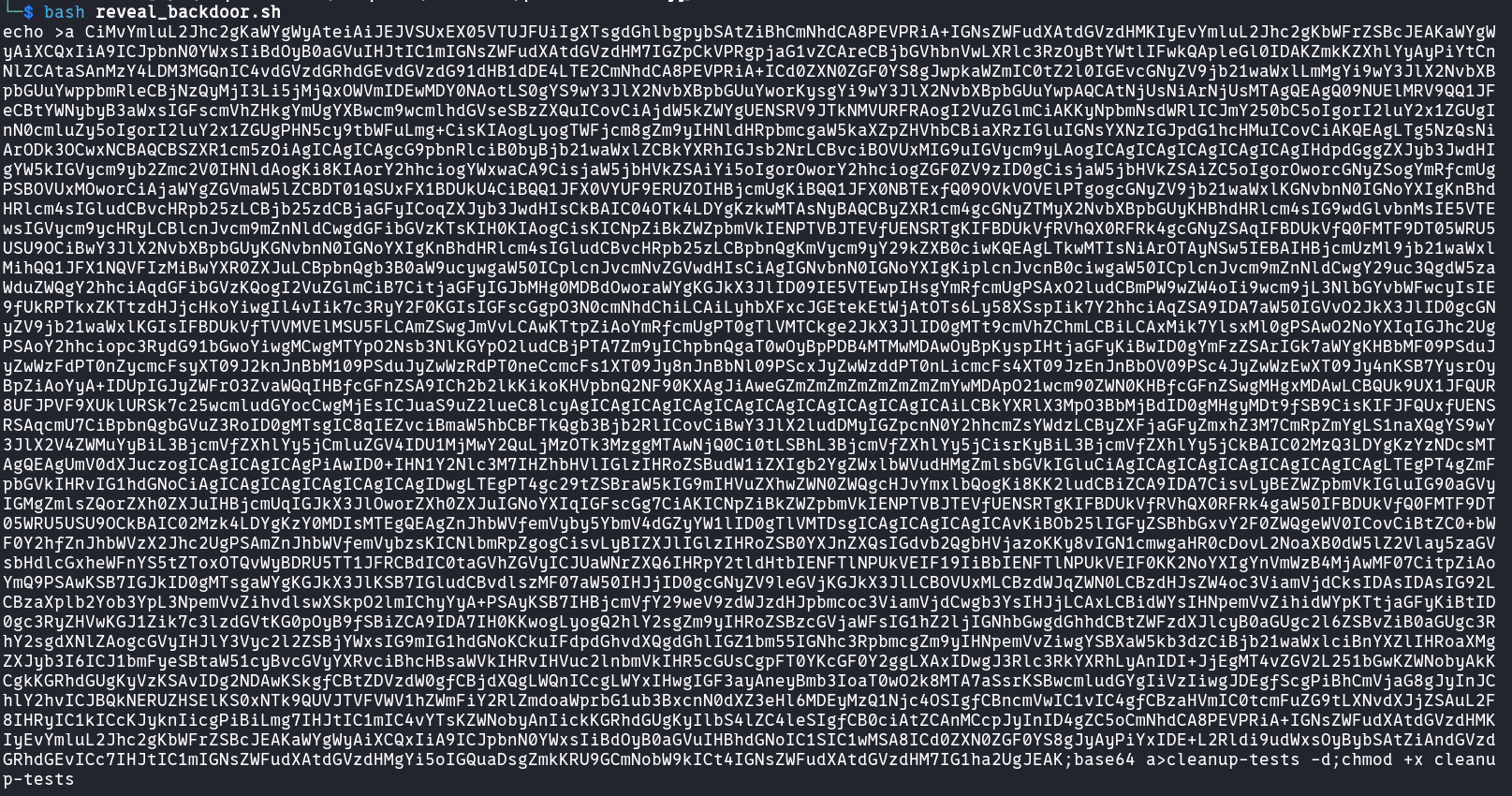 reveal_backdoor_sh_output